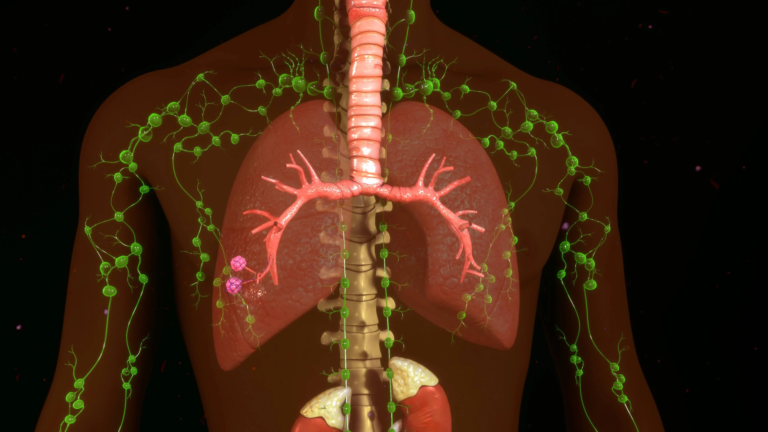 How Massage Impacts The Lymphatic System